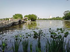 -济南大明湖景区