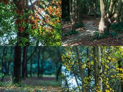 -昆明市金殿名胜区