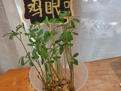 -饵块食光·云南有机手作饵块