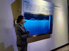 -白鹤梁水下博物馆