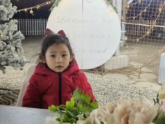 -安德鲁户外烧烤帐篷营地(马泉营店)