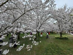 -苏州上方山国家森林公园
