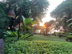 -卷心菜和避孕套餐厅(Pattaya)
