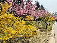 -元大都城垣遗址公园