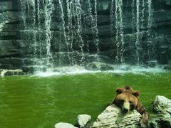 -北京野生动物园