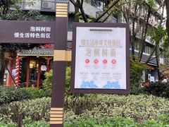 -泡桐树街