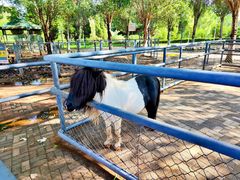 -长白岛森林公园