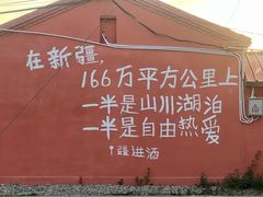 -特克斯八卦城