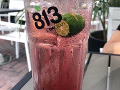 黑醋栗微苏打-813芭依珊 BAESAn(皇冠十畝地店)