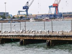 -海驴岛(荣成市)