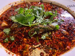 -胖大姐黄辣丁鱼庄(新津店)