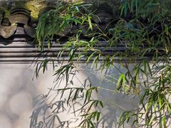 -秋霞圃
