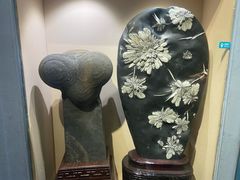 -河南自然博物馆
