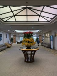 -北京明德医院·医疗美容