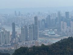 -大金鹰园