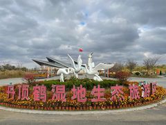 -盐城丹顶鹤湿地生态旅游区