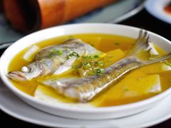 太湖白鱼-元泰酒店