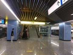 -大龙山(地铁站)