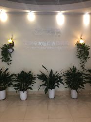 -碧莲盛·不剃发植发