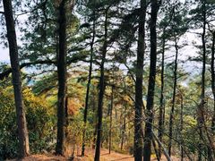 -虞山风景区