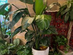 -火塘云南烧烤大排档