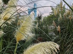 -汉江湾体育公园