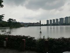 -美的鹭湖森林度假区