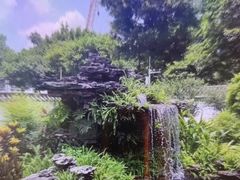 -荔湾湖公园