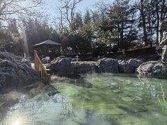 -和园景逸大酒店朗月汤泉