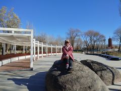 -延庆地质公园博物馆