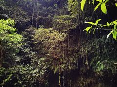 -海口火山口国家地质公园