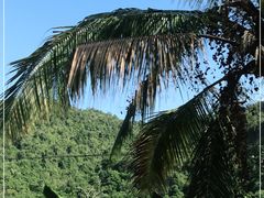 -海南槟榔谷黎苗文化旅游区
