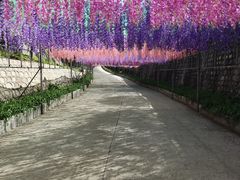 -北京十三陵国家森林公园蟒山景区