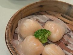 -寻味顺德·顺峰山庄(大良店)