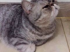 -美联众合动物医院·24h京西诊疗中心