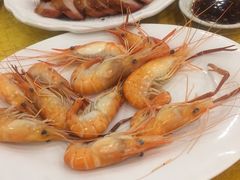 -鸿达渔港