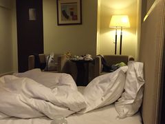 -上海豪德万源酒店(陆家嘴东方明珠店)