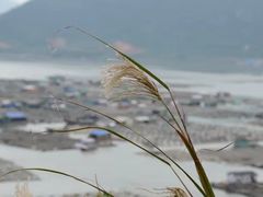 -北岐滩涂