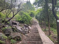 -北京十三陵国家森林公园蟒山景区