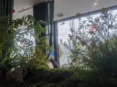-景笙毋米粥底火锅(20年老字号)
