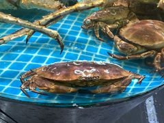 -巧克力渔家.小船海鲜胶东菜(万平口店)