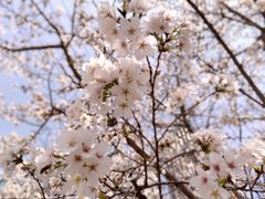 -西北湖绿化广场