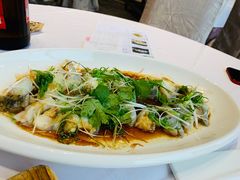 葱油蒸海参斑-拾贰季喜宴(百利达广场店)