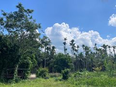 -兴隆槟榔园休闲农庄