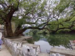 -上坦村