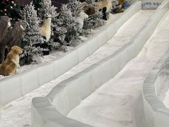 -世界之窗阿尔卑斯冰雪世界