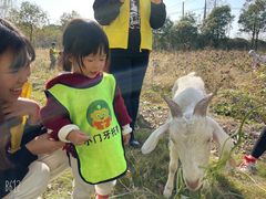 -小门牙好性格托育(北外滩中心)