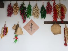 -同里国家湿地公园