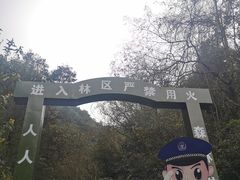 -西湖风景区十里琅珰-五云山