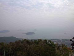 -三亚亚龙湾人间天堂鸟巢度假村